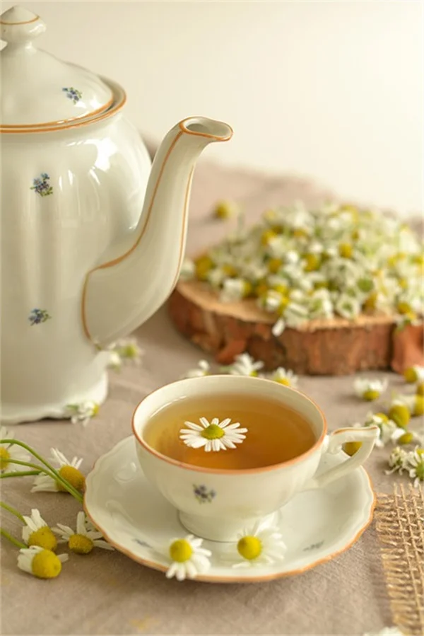 球根の芽が出たら？たったこれだけ！オフセットで簡単に増やす方法