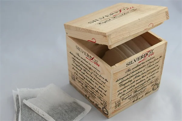 サンセベリア品種ガイド：初心者におすすめの種類と育て方