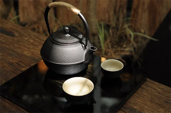 虫って、実はすごい！生態系を支える知られざる3つのメリット
